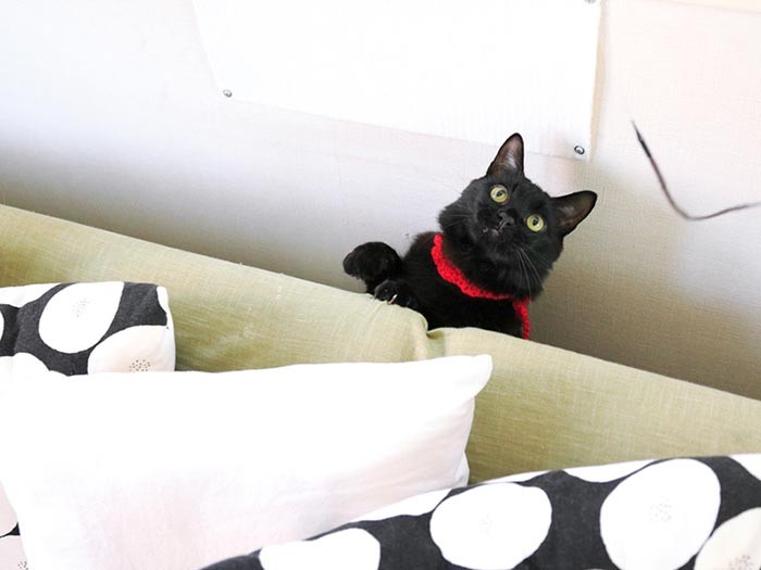 成長してわかったことがありました（テクニック1）