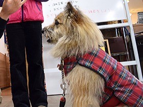 動物の「心の病」を診る　愛犬の死きっかけに獣医に