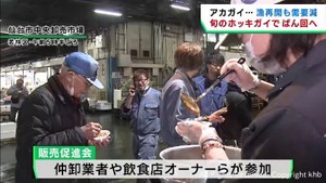 ホッキガイの販売促進会で需要が伸び悩むアカガイ生産者を支援　仙台市中央卸売市場