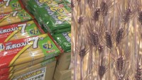 コメ高値が続き食卓に変化　代替商品として「パスタ」や「麦」が好調　岡山