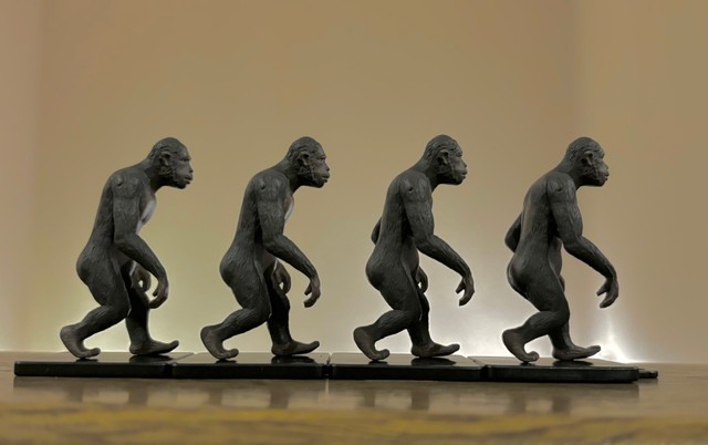 完全に進化に失敗している人類の進化ガチャ（提供：するたんさん）