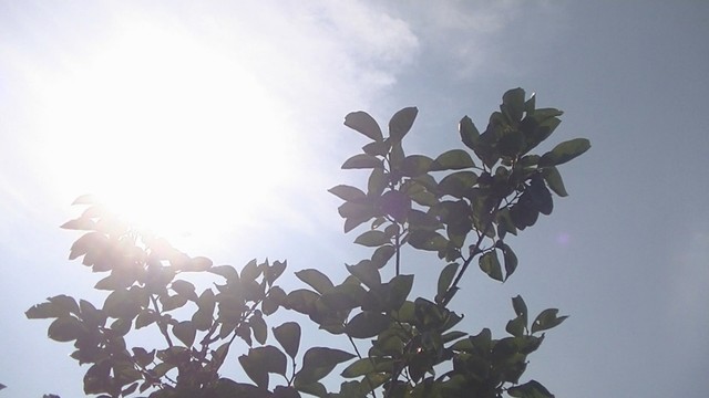 香川県で猛烈な暑さに　5人が熱中症の疑いで搬送　観音寺市では50代男性が重症模様