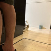 「すね毛とほたて」このネーミングは、ほたてくんが旦那さんの“すね毛”に怒り始めたことがきっかけという（飼い主さん提供）