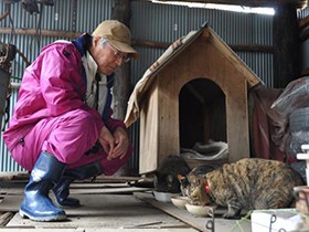 残されたペットの世話に神戸から移住　飯舘村に通う夫婦