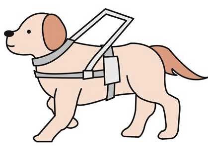 盲導犬を乗車拒否したタクシー会社を処分