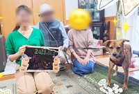 プリムラに見事にマッチした優しい里親さんに迎え入れられることになりました