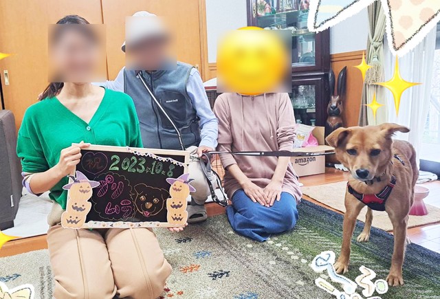 プリムラに見事にマッチした優しい里親さんに迎え入れられることになりました