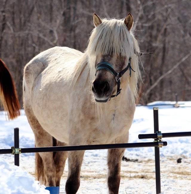 前が見づらそうだったビフォー