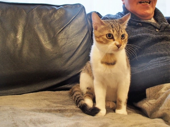 パパは大甘。何しても怒らない