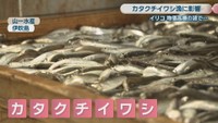 山一水産　伊吹島