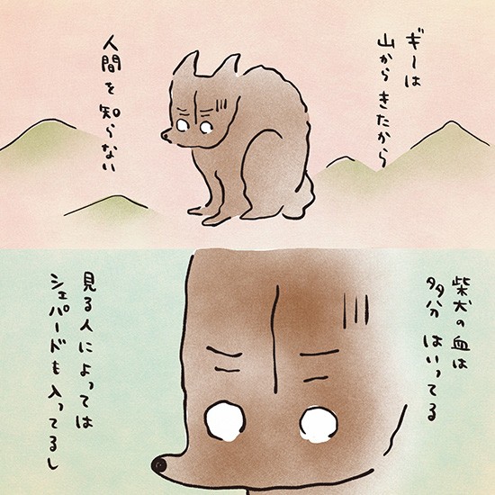  「いとしのギー」から（おおがさん提供）