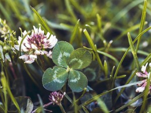 人生を楽しむためにやりたい仕事に就いた私は「仕事最優先」をやめた