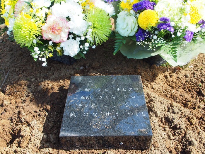 ペットは何匹でも追加埋葬ができる