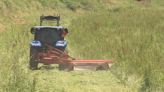 【特集】水の流れが悪くなる「樹林化」防止へ　豪雨で堤防決壊の小田川を守る“民間の力”　岡山・倉敷市〈西日本豪雨から5年〉