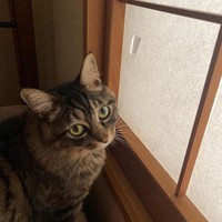 犯人は誰かな？＝maruyura1025さん提供