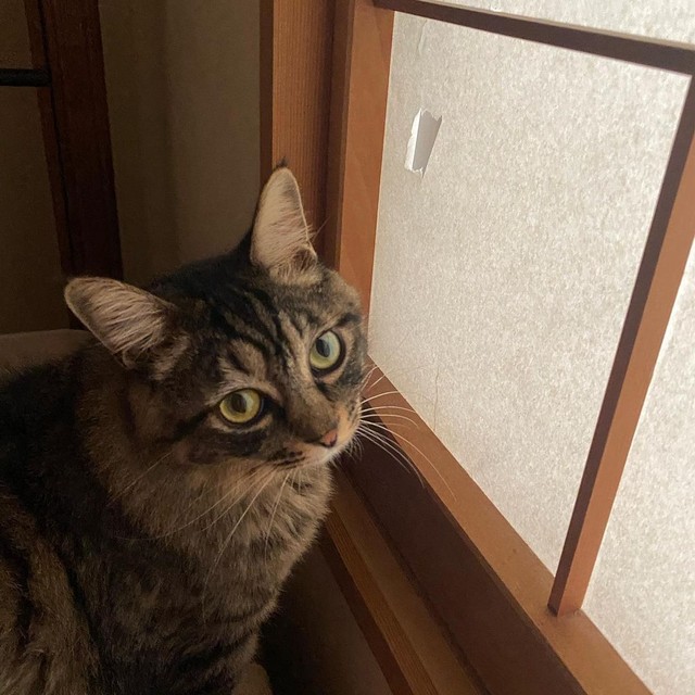 犯人は誰かな？＝maruyura1025さん提供