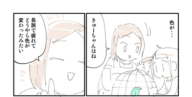 色が変わったきゅーちゃんに困惑…（ぬこー様ちゃんさん提供）