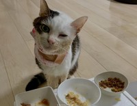 必死にがんと闘った日々