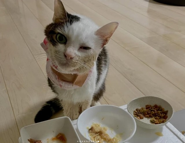必死にがんと闘った日々