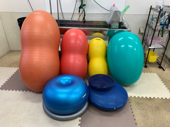 リハビリで使うバランスボール。大小様々あり、犬の体型や体の状態、してほしい動きなどにあわせて使い分ける（遠藤さん提供）