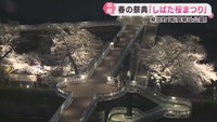宮城県の桜の名所　柴田町の船岡城址公園でしばた桜まつり