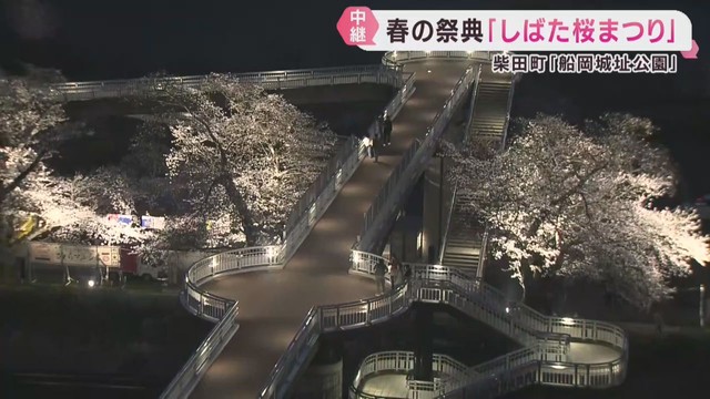 宮城県の桜の名所　柴田町の船岡城址公園でしばた桜まつり