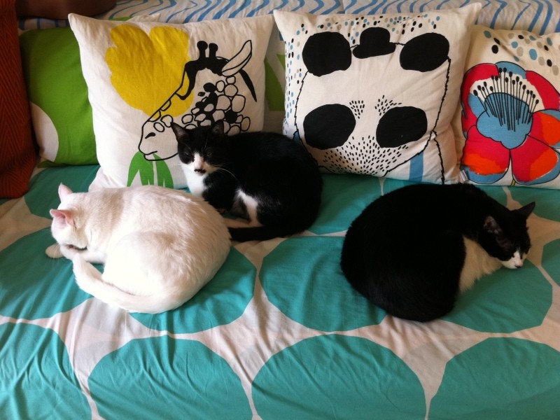 ギル、ジョー、マロン、仲良くないの？