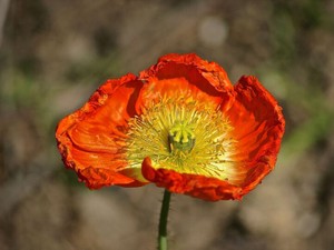 モテに依存していた私。でも、男性中心の価値観はもう捨てた