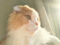 抗がん剤治療中にはヒゲが抜け、首回りがスッキリするなどの変化も見られた