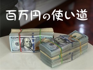 百万円の使い道