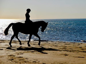 書いたときの「味」があるから、読み返すたびに私の文章を好きになる