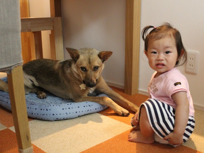 子供とも遊べるようになった