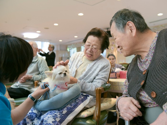 犬を介して入居者同士の会話もはずみます（特別養護老人ホームきく、JAHA提供／石垣星児撮影）