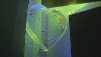 光で彩る金魚のアクアリウム