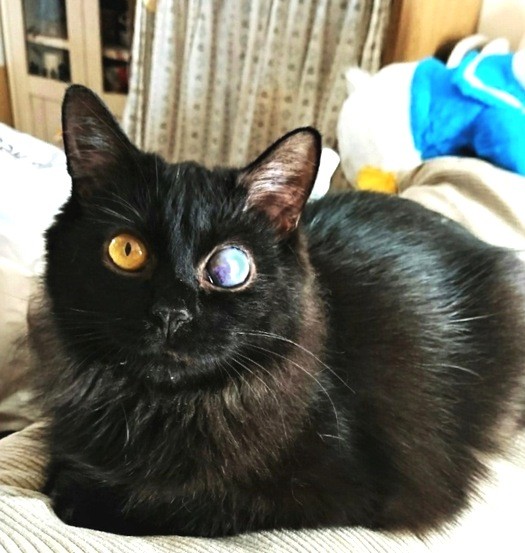 夜空くんの見えない左目は、１つの宇宙のよう＝彩乃さん提供