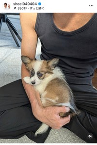 照英インスタグラム＠shoei040404より