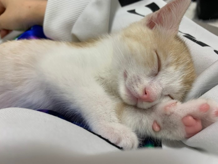 よく寝て大きくなるんだよ