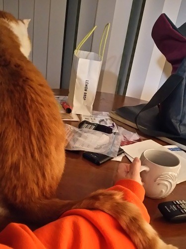 梵さん……？このしっぽは、一体何だえ？