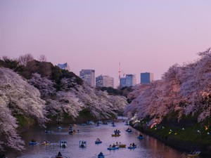 言わせてもらう！英語をしゃべれる人全員が日本を嫌いなわけじゃない