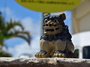 ドキュメンタリーで学んだ沖縄の姿。知ることで世界は変わるはず