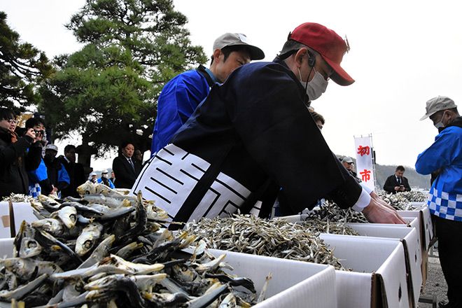 Why Japanese obsess with ‘niboshi’ on Valentine’s Day