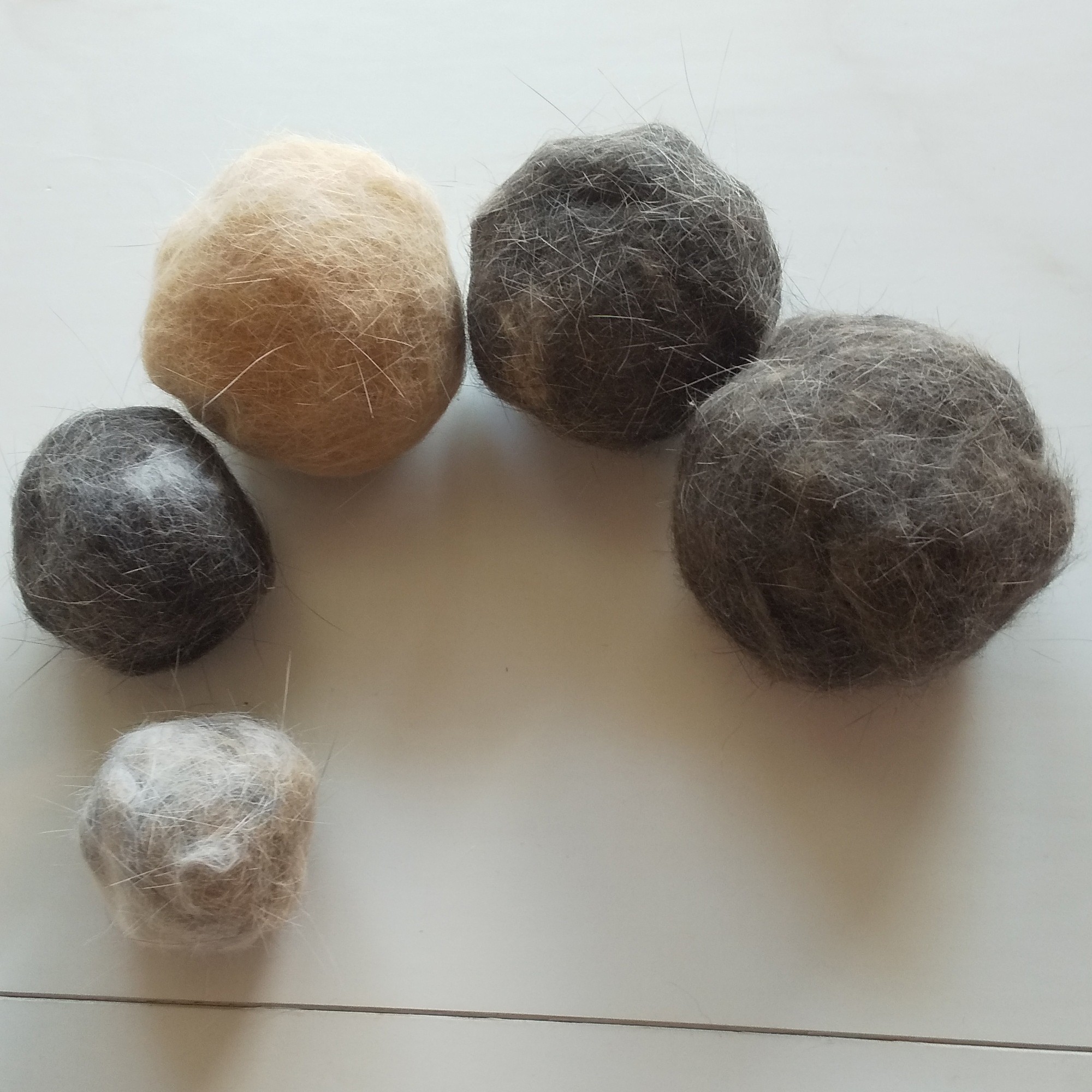 今年６月にブラッシングしたときの「成果」。一番大きなボールはアルの抜け毛。隣の小さいのがベル。薄茶が梵天丸。その横がハチワレキジトラのエンマ。一番小さいのが白三毛のボビさんです