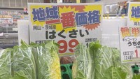 物価高でも価格が安定　“今お勧めの野菜”をスーパーで聞く　岡山市
