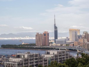 恋愛番組の中で聞いた「言葉」が、私を福岡へ連れて行ってくれた