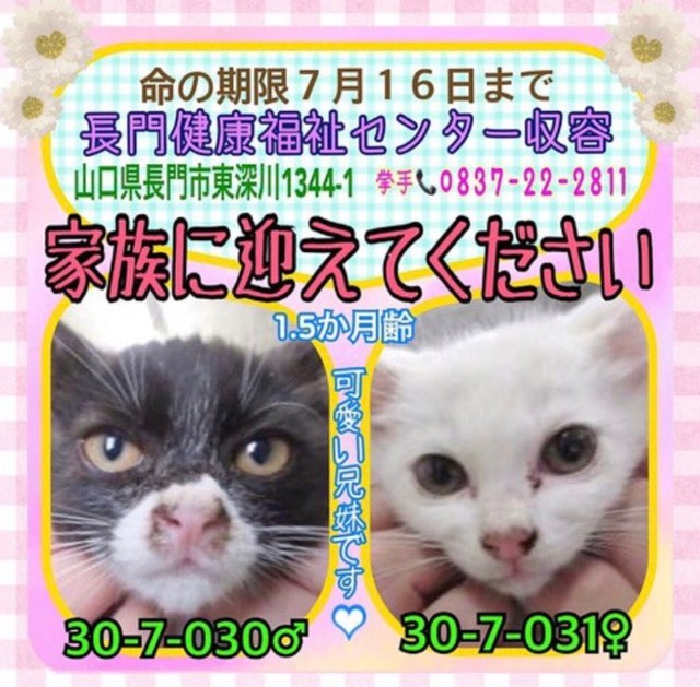 SNSで流れてきた実際の画像。ユキちゃんもお兄ちゃんも不安そうな表情です