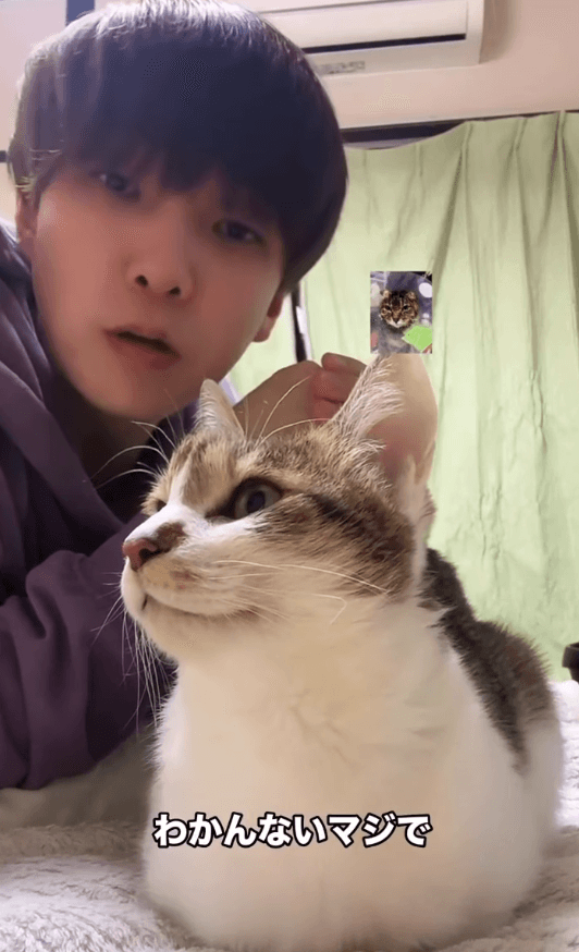 人間には分からないほどの微妙な揺れでも、猫には伝わる（画像提供：しぶけんさん）
