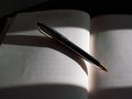 コロナ禍の憂鬱を書き出した日記が、世の中は面白いと思わせてくれた
