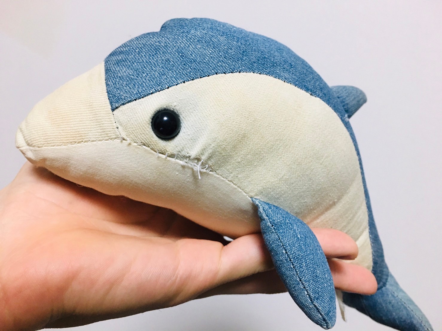 迷子になったイルカの子はなぜ母親に再会できたのか 知っている