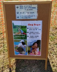 ドッグヨガ教室の案内