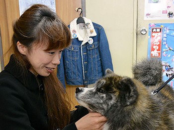 秋田犬人気で「ふれあい処」、秋田市にも作りたいワン！